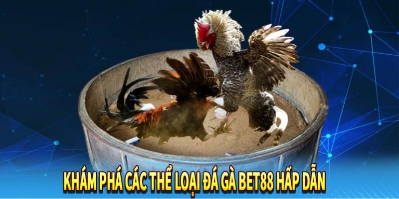 Khám phá các tựa game đá gà bet88 hấp dẫn nhất